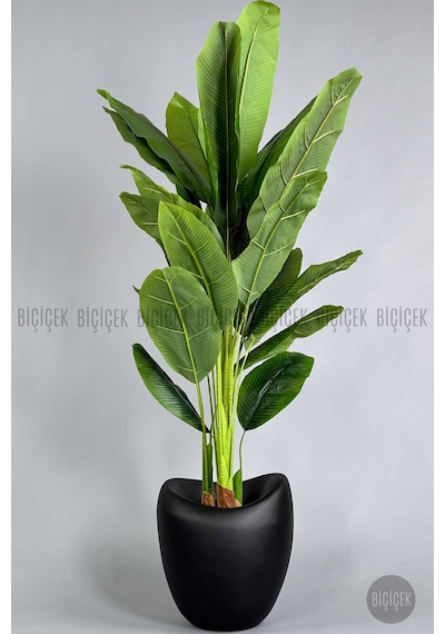 Biçiçek Yapay Muz Ağaci 210 Cm 4 Gövdeli̇ 21 Yaprak Mocha Lale Saksıda