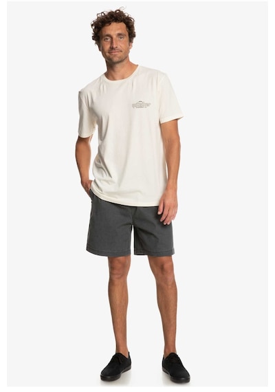 Quiksilver Quikwords Erkek Tişört EQYZT07263-WDW0