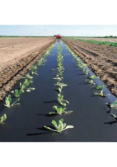 Çilek Mulch Naylonu 50 Cm X 1000 Metre Siyah Taban Örtüsü Pidok Çilek Mulch 30 Micron Uv Li Sebze Naylonu 0