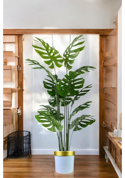 Yapay Ağaç Monstera Deve Tabanı Ağacı 180 Cm 16 Yaprak Beyaz Gold Saksıda Çok Renkli