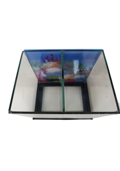 Betta Akvaryumu İki Bölmeli 20 Cm 5 Litre Siyah Renk