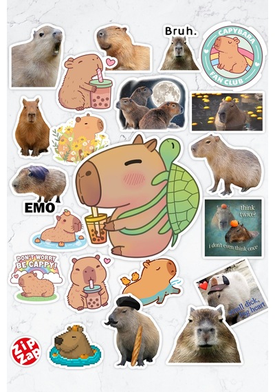 Capybara Kapibara Telefon Laptop Bullet Journal Yapışkanlı Folyo Sticker Paketi 21 Adet Çok Renkli