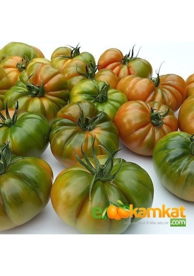 Köy Tipi Yayla Domatesi Tohumu Paket 5 GR Paket