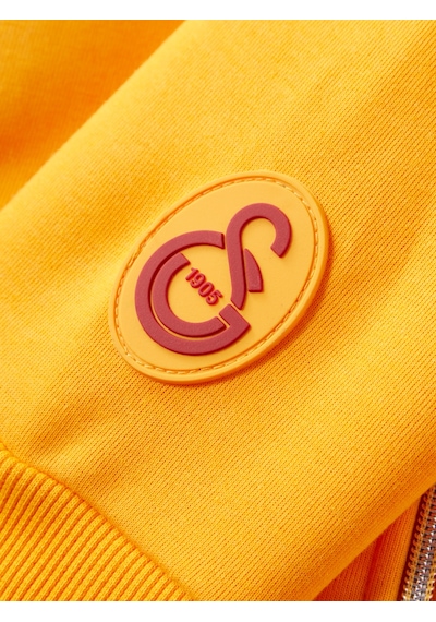 Gsstore Galatasaray Erkek Zip Hoodie E252113 Sarı