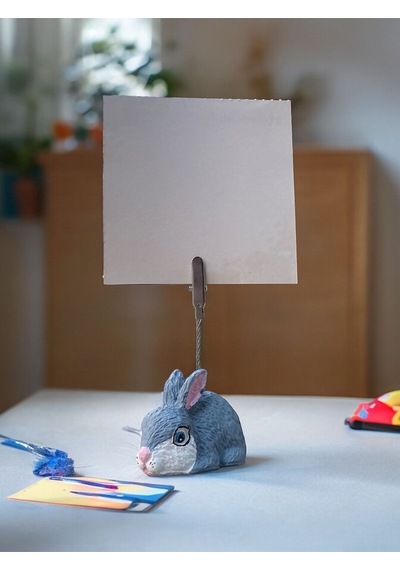 Sevimli Kawaii Tavşan Fotoğraf - Not Tutucu Hediyelik Gri Beyaz