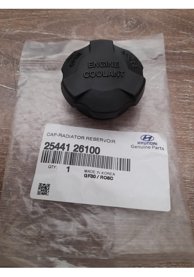 H100 KAMYONET 05 YEDEK SU DEPO KAPAĞI  MOBİS 25441-26100