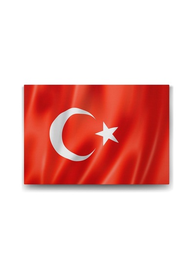 Bayrağı Tablosu - 100x70cm Diğer