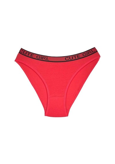 10 Adet Beli Yazılı Pamuklu Kalın Lastik Kadın Slip Külot Renkli