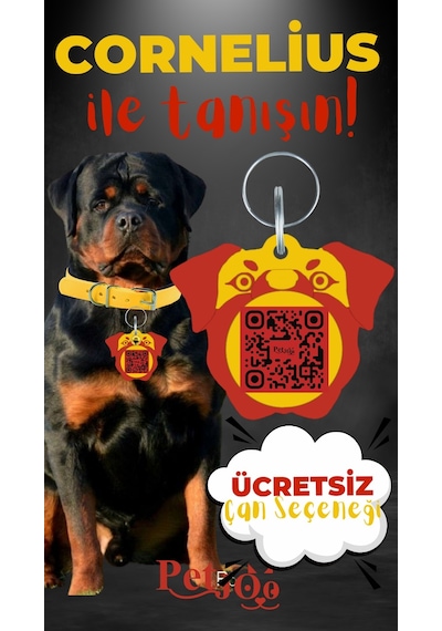 Petjoo 20.Cornelius Kırmızı-Sarı Qr'lı Köpek Künyesi