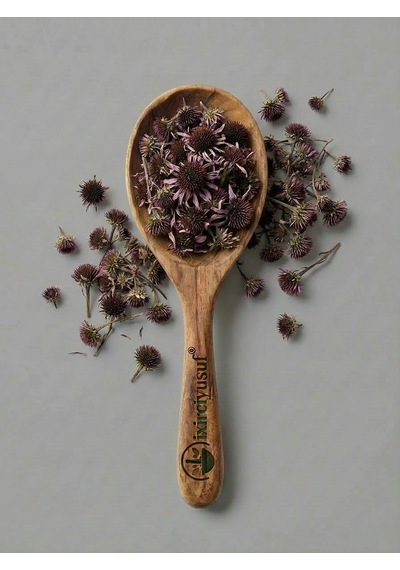 Ekinezya Ekinezya Otu Echinacea Kurutulmuş Bitki Çayı 100 G Doğal