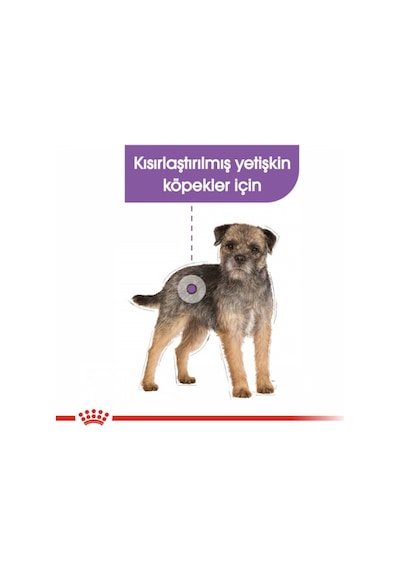 Royal Canin Sterilised Kısırlaştırılmış Yetişkin Köpek Maması 85 G
