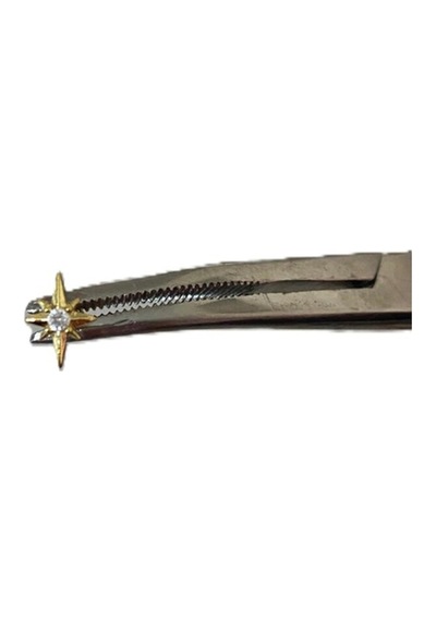 Minimal Kutup Yıldızı Kıkırdak Tragus Helix Pearsıng Küpe 316l Çelik Altın