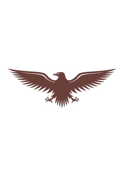 Kartal Sticker17x17 Cm Kahverengi