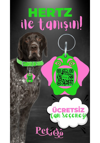 Petjoo 26.Hertz Pembe-Yeşil Qr'lı Köpek Künyesi