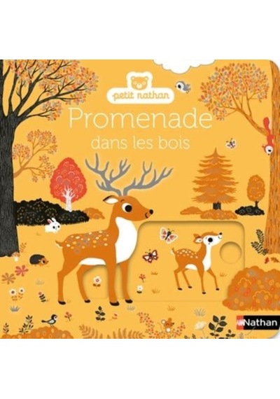 Promenade Dans Les Bois