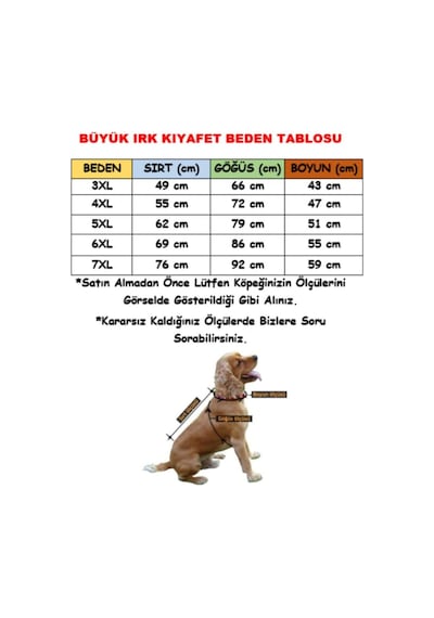 Pawstar Yeşil Sweet Orta Büyük Irk Köpek Pofuduk Sweatshirt