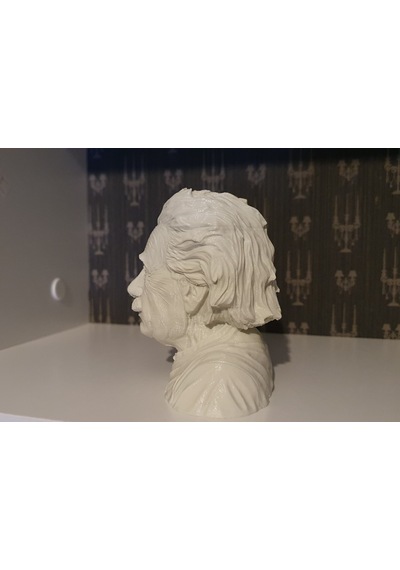 Albert Einstein Albert Eınsteın Büst 3D Baskı Figür Fıgure