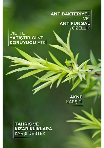 Tto Çay Ağacı Yağı 10Ml