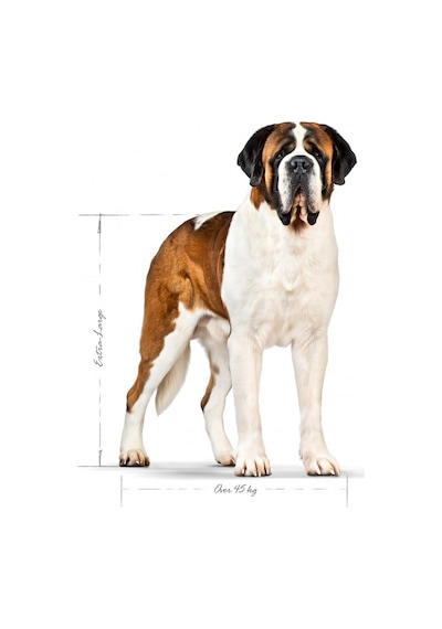 Royal Canin Giant Dev Irk Yetişkin Köpek Maması 15 KG
