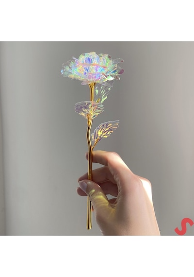 Sonsuzluk Gülü, 25 Cm X 8cm - Hologram