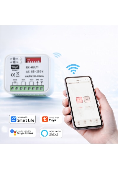Alpsmart As865s Wi-fi Ve 433 Mhz Akıllı Tuya Destekli Alıcı Ve 2'li Kumanda Seti