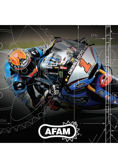 Afam A520-118xmr3 2008-2020 Ktm 690 Duke Uyumlu Zincir Xmr3 Xring Çelik Renk