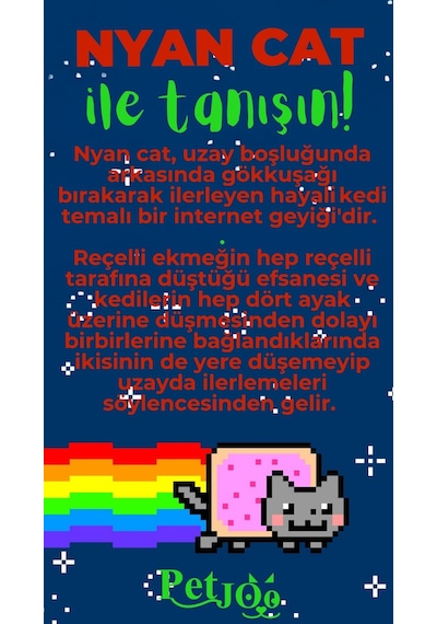 Petjoo 2.Nyan Cat Yeşil-Kırmızı Qr'lı Kedi Künyesi