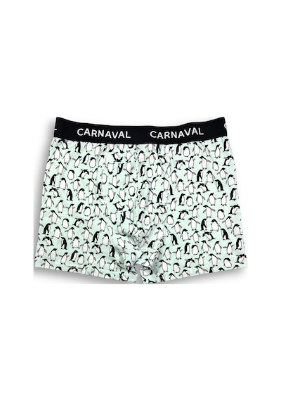 Carnaval Socks Carnaval Penguen Desenli Premium Pamuklu Erkek Boxer -açık Mavi Renkli Çoklu