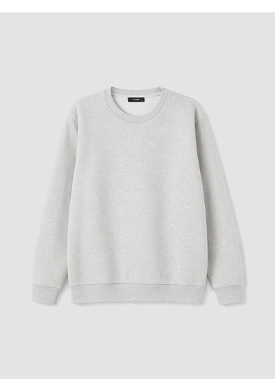 LC Waikiki Lc Waıkıkı Gri Bisiklet Yaka Erkek Sweatshirt