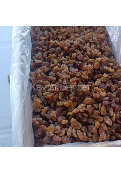 Toptan İzmir Çekirdeksiz Üzüm 10 Kg 10 KG