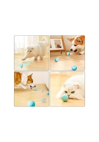 İnteraktif Kedi Köpek Şarjlı Oyun Topu - Pg2760