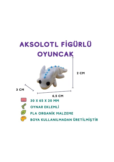 10'lu Set Aksolotl Kedi Fok Su Samuru Tavuk Arı Gergedan Fil