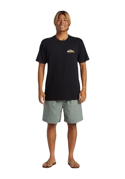 Quiksilver Aqyzt09563 Step Up Mor Erkek Tişört 001