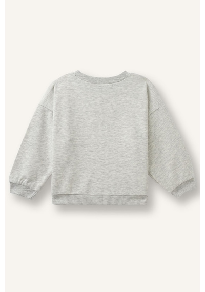 Defacto Regular Fit Bisiklet Yaka Baskılı Kalın Sweatshirt Kız Bebek I1707a526augr421 Gri-gr421