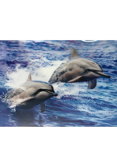 3 Boyutlu Resim Sevimli Yunuslar İkili Yunus Resmi Tablosu 30x40 Cm 1