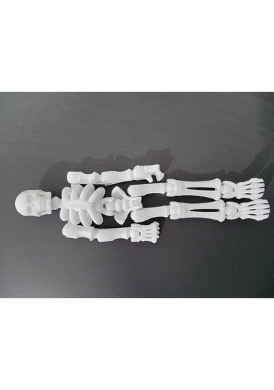 Sök+tak İnsan İskeleti