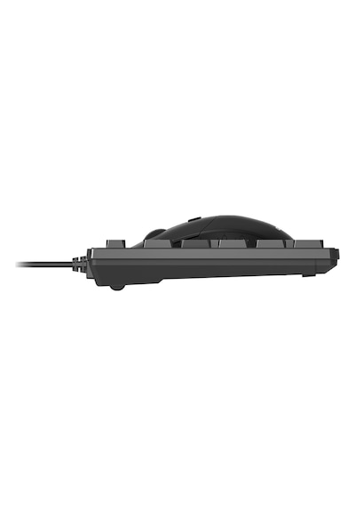Lecoo CM102 USB Kablolu Türkçe Q Klavye & Mouse Set