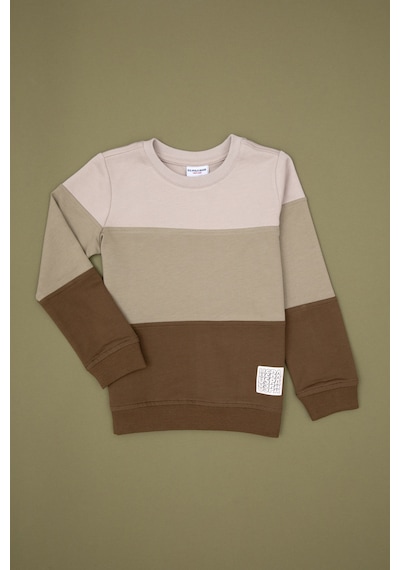 U.S. Polo Assn. Erkek Çocuk Haki Basic Bisiklet Yaka Sweatshirt 50313977-VR027