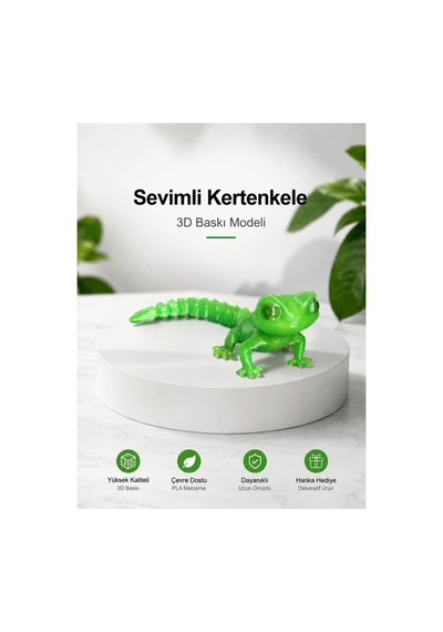 Sevimli Kertenkele Figür 3d