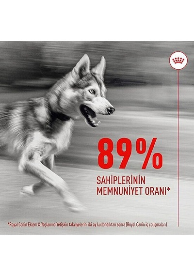 Royal Canin Joint & Ageing Chews Eklem Sağlığını Destekleyen Ve Yaşlanma Karşıtı Yetişkin Köpek Ödül Maması 240gr