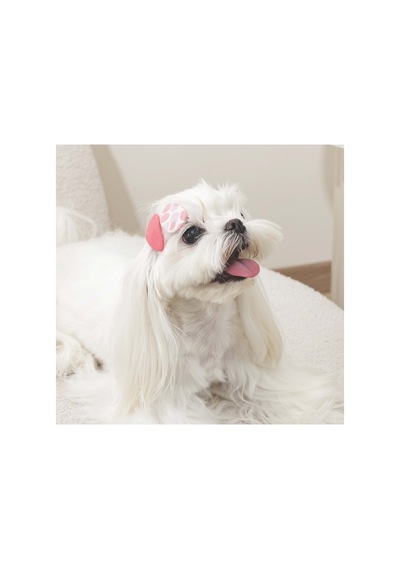 M-pets Glam Köpek Ve Kediler İçin Aksesuar Toka - Kırmızı
