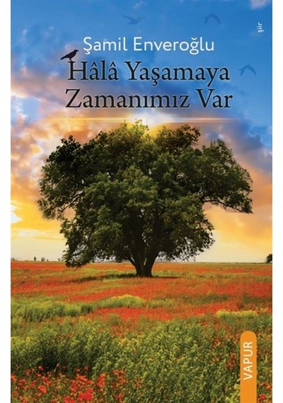 Hala Yaşamaya Zamanımız Var / Şamil Enveroğlu
