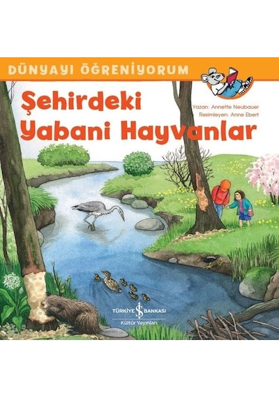 Şehirdeki Yabani Hayvanlar-Dünyayı Öğreniyorum - Annette Neubauer - İş Bankası Kültür Yayınları