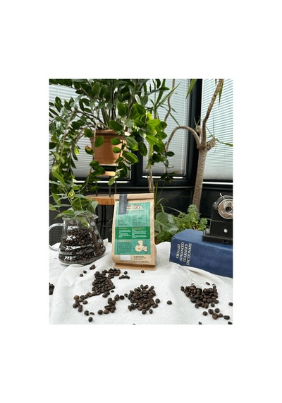 Guetemala Antigua Çekirdek Kahve V60