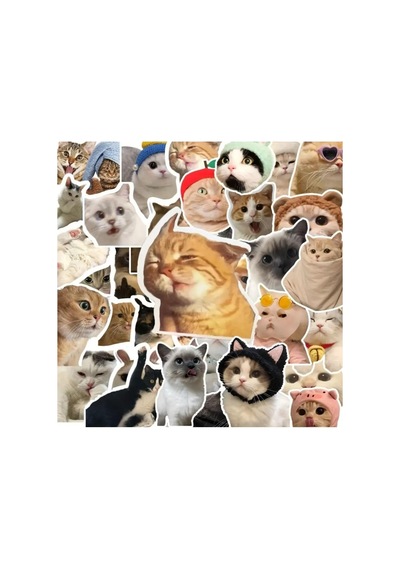 100'li Çılgın Kedi Sticker Set Laptop Notebook Tablet Sticker Seti