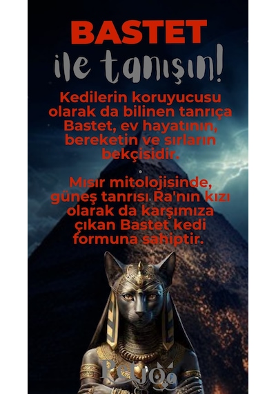 Petjoo 1.Bastet Gri-Kırmızı Qr'lı Kedi Künyesi