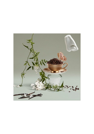 The Bewitching Yasmine Edp 75ml Diğer