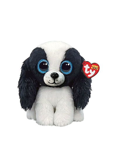 Cavalier Dog Blk Wht Reg