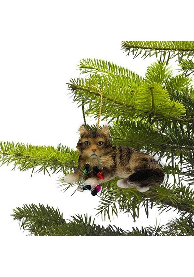 Lexroo Kahverengi Tabby Maine Coon Kedi Tatil Işıkları Noel Süsü, Çok Renkli Xso33901 Standart