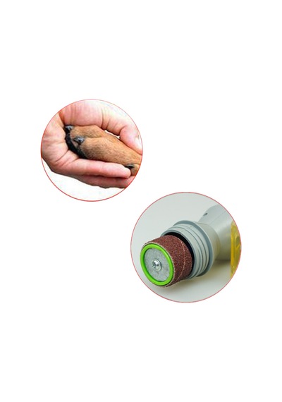 Pedi Paws Kedi Köpek Evcil Hayvan Tırnak Törpüsü Düzeltici 555519033